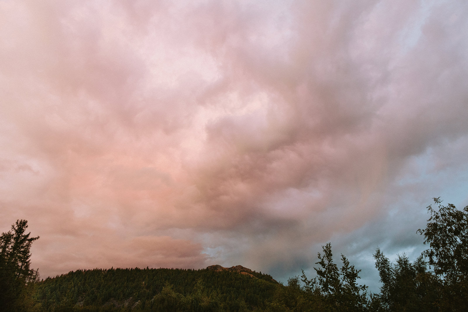 fine art prints new zealand