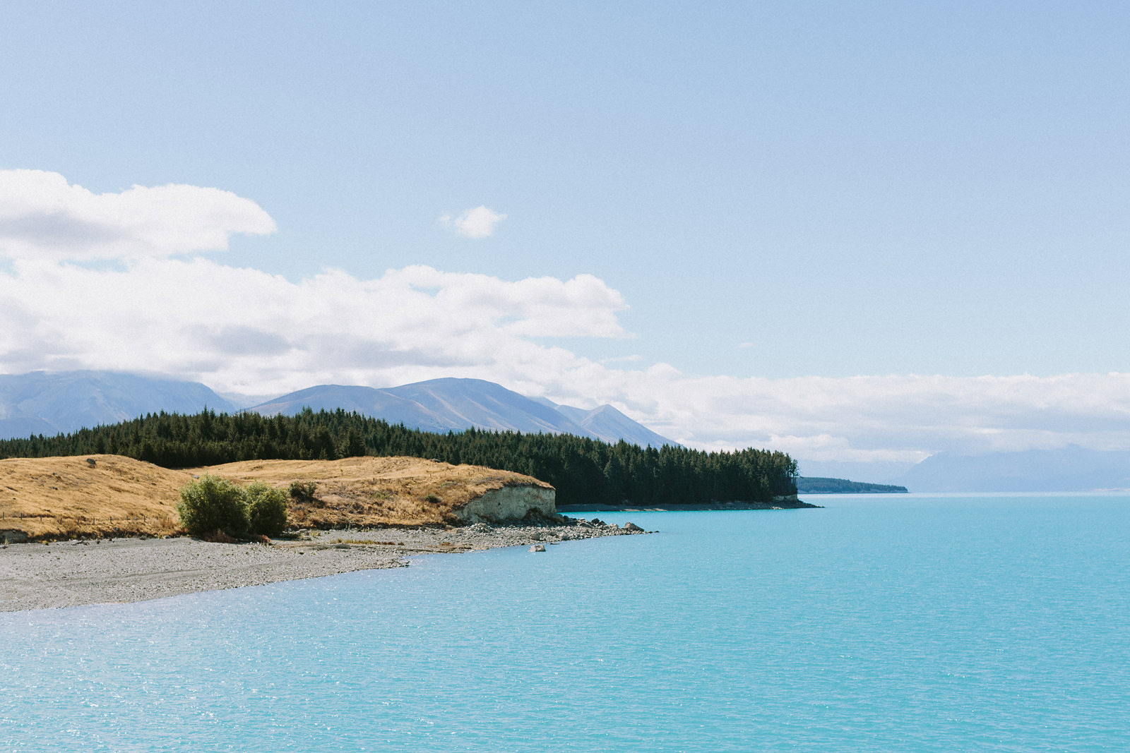 destination wedding photographer new zealand