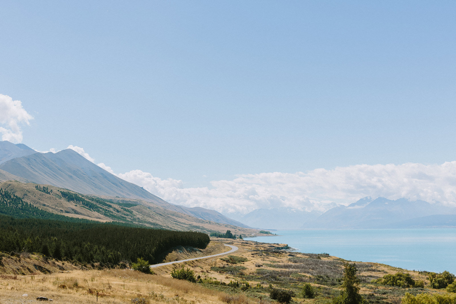 destination wedding photographer new zealand