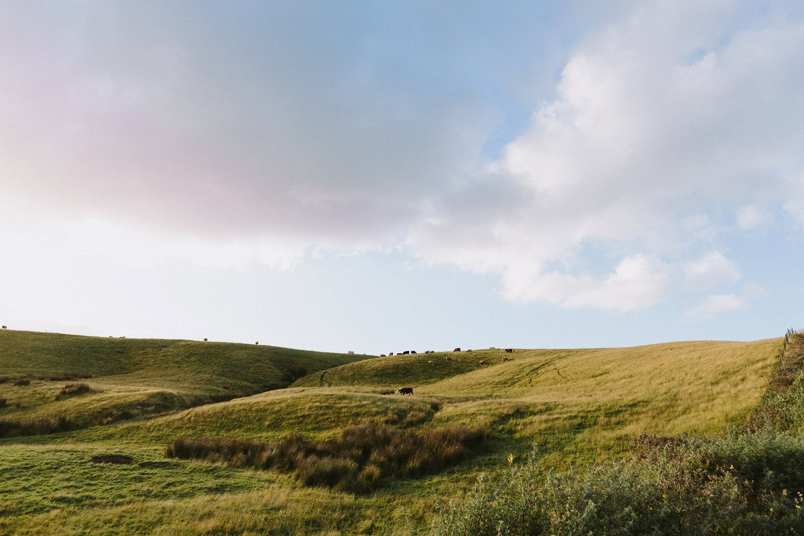 beautiful landscape new zealand