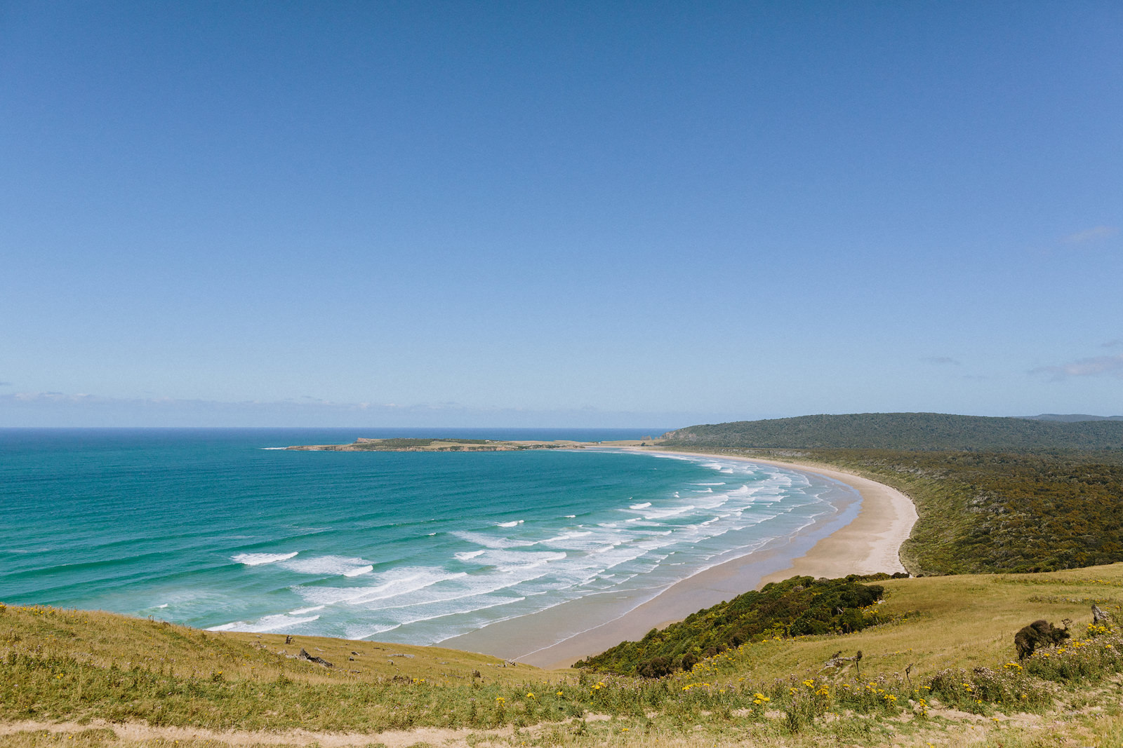 beautiful landscape new zealand