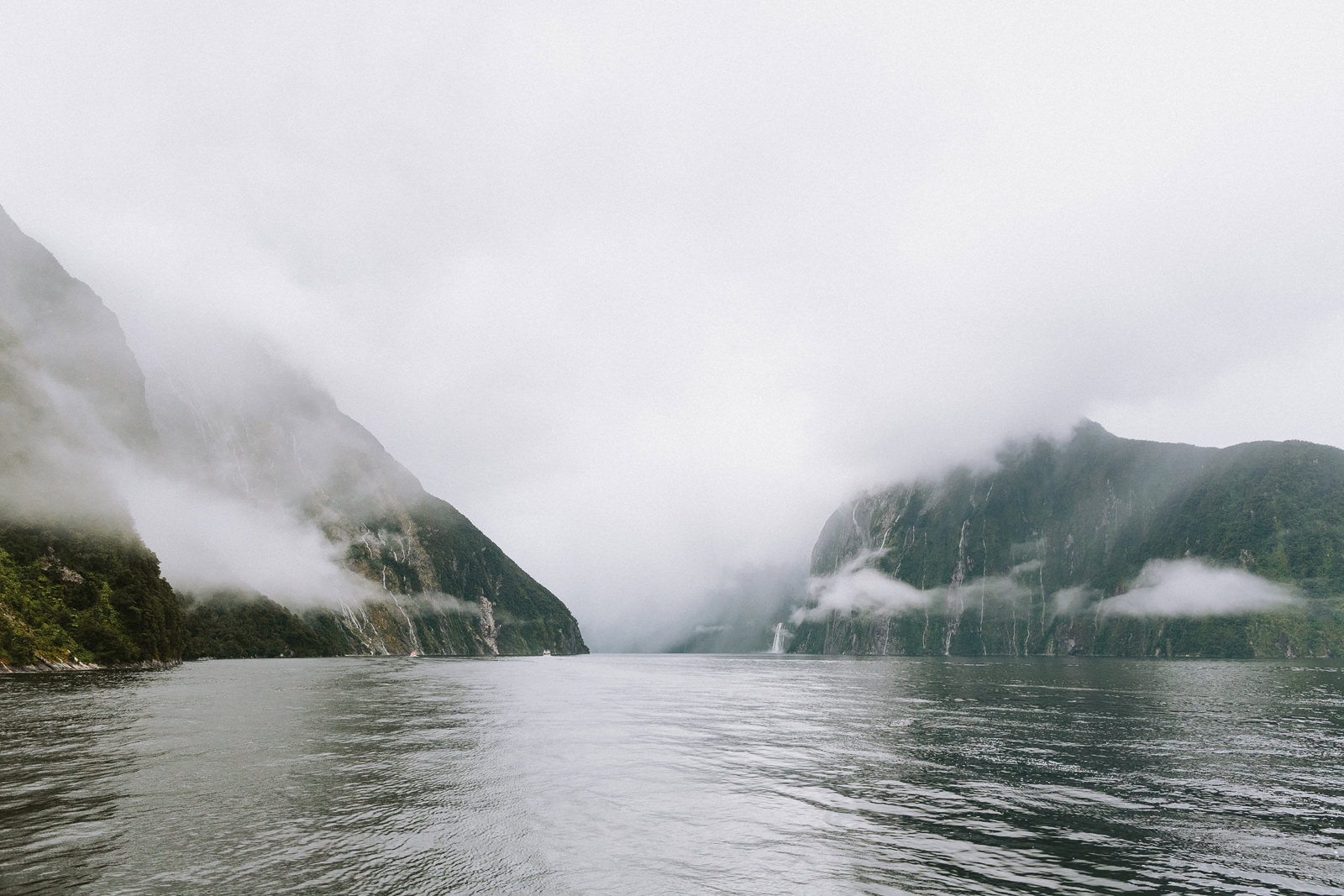 milford sound photography