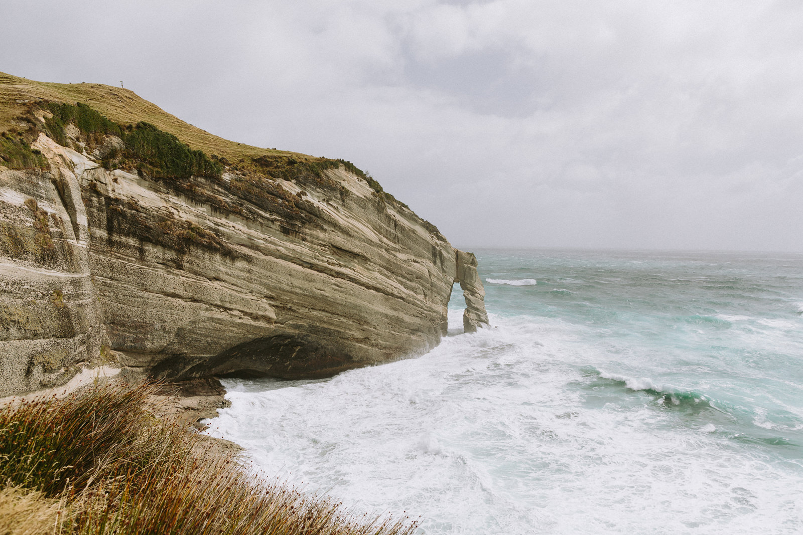 best photographer places new zealand