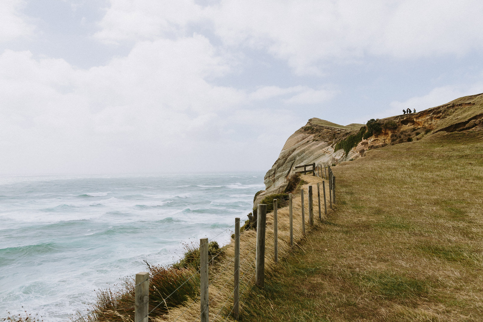 best photographer places new zealand